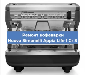 Замена прокладок на кофемашине Nuova Simonelli Appia Life 1 Gr S в Нижнем Новгороде